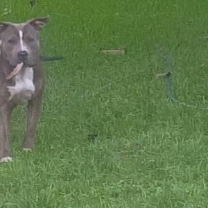 Meet your Posher, Earl